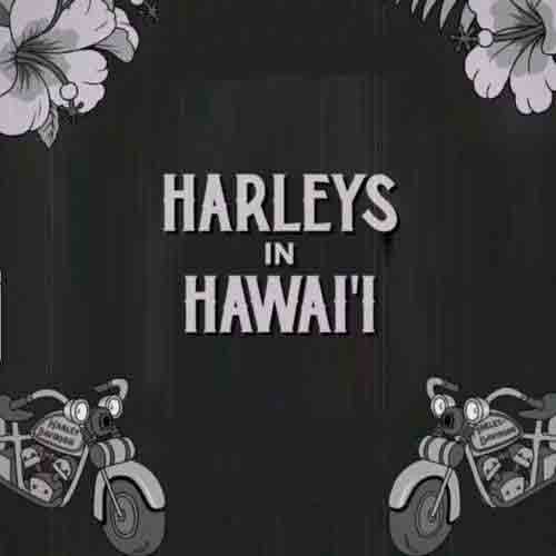آهنگ harleys in hawaii با صدای مرد